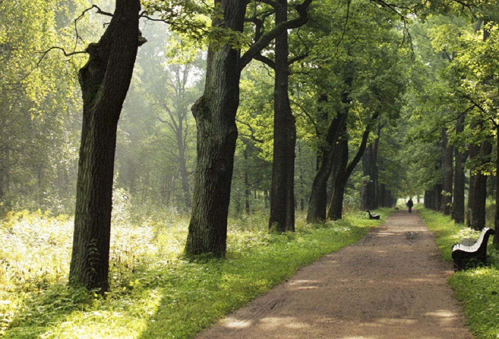 Отдельный или Нижний Парк <br>